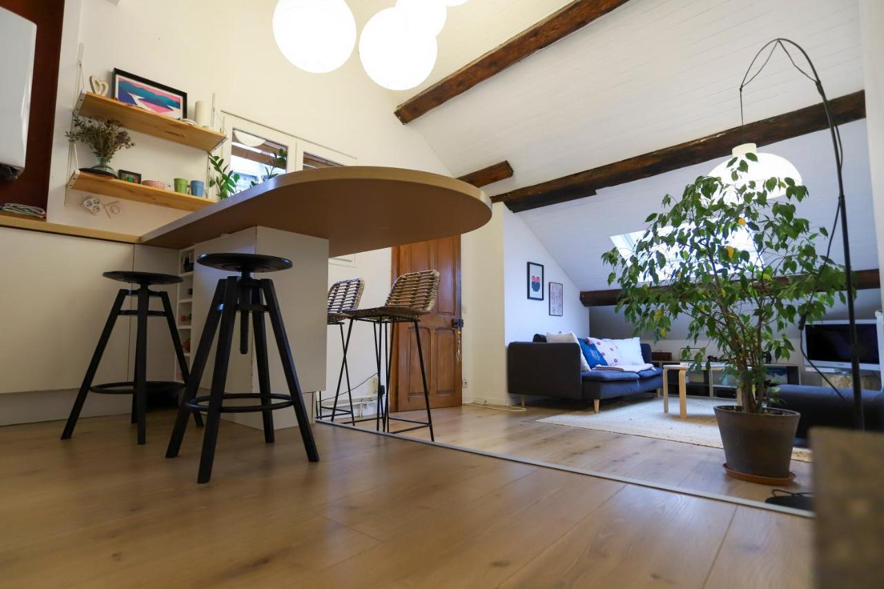 Petit-Coeur Charmant En Centre Ville Apartment Annecy Exterior photo